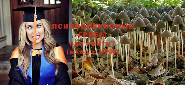 спиды Абдулино