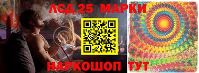 сатива Кудрово