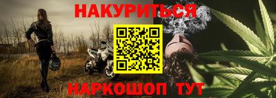 сатива Кудрово