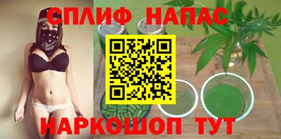 сатива Кудрово