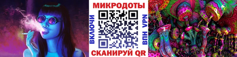 Купить  Мончегорск  Псилоцибиновые грибы MAGIC MUSHROOMS 