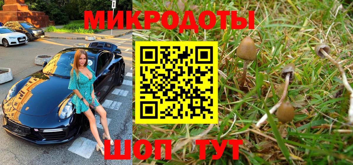 Псилоцибиновые грибы Magic Shrooms Мончегорск