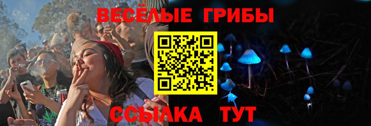 Псилоцибиновые грибы ЛСД  Вход с VPN  Псилоцибиновые грибы Psilocybine cubensis  Мончегорск 