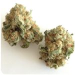 Шишки "White Widow"  (Белая вдова)  Гидропоника -  Бошка VHQ в Мончегорске